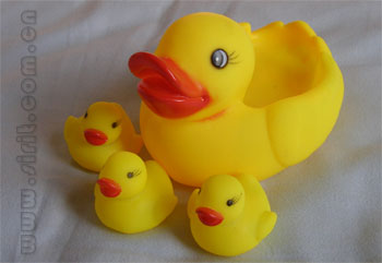 duck2